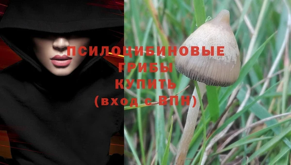 круглые Сосновоборск