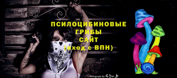прущий лед Снежногорск